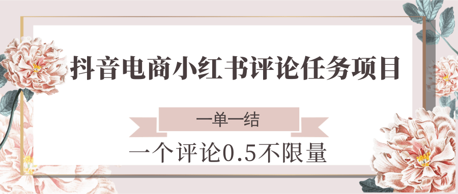 抖音电商小红书评论任务项目，一个评论0.5，一单一结 不限量-副业资源网