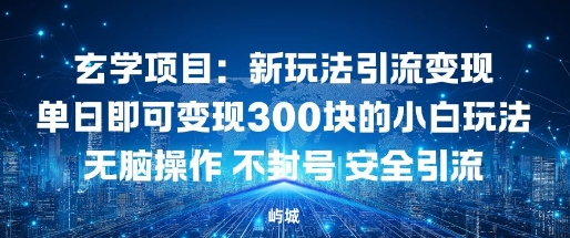 玄学项目：新玩法引流变现单日即可变现3张的小白玩法无脑操作不封号安全引流-副业资源网
