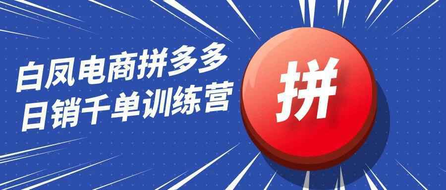 白凤电商拼多多日销千单训练营-副业资源网