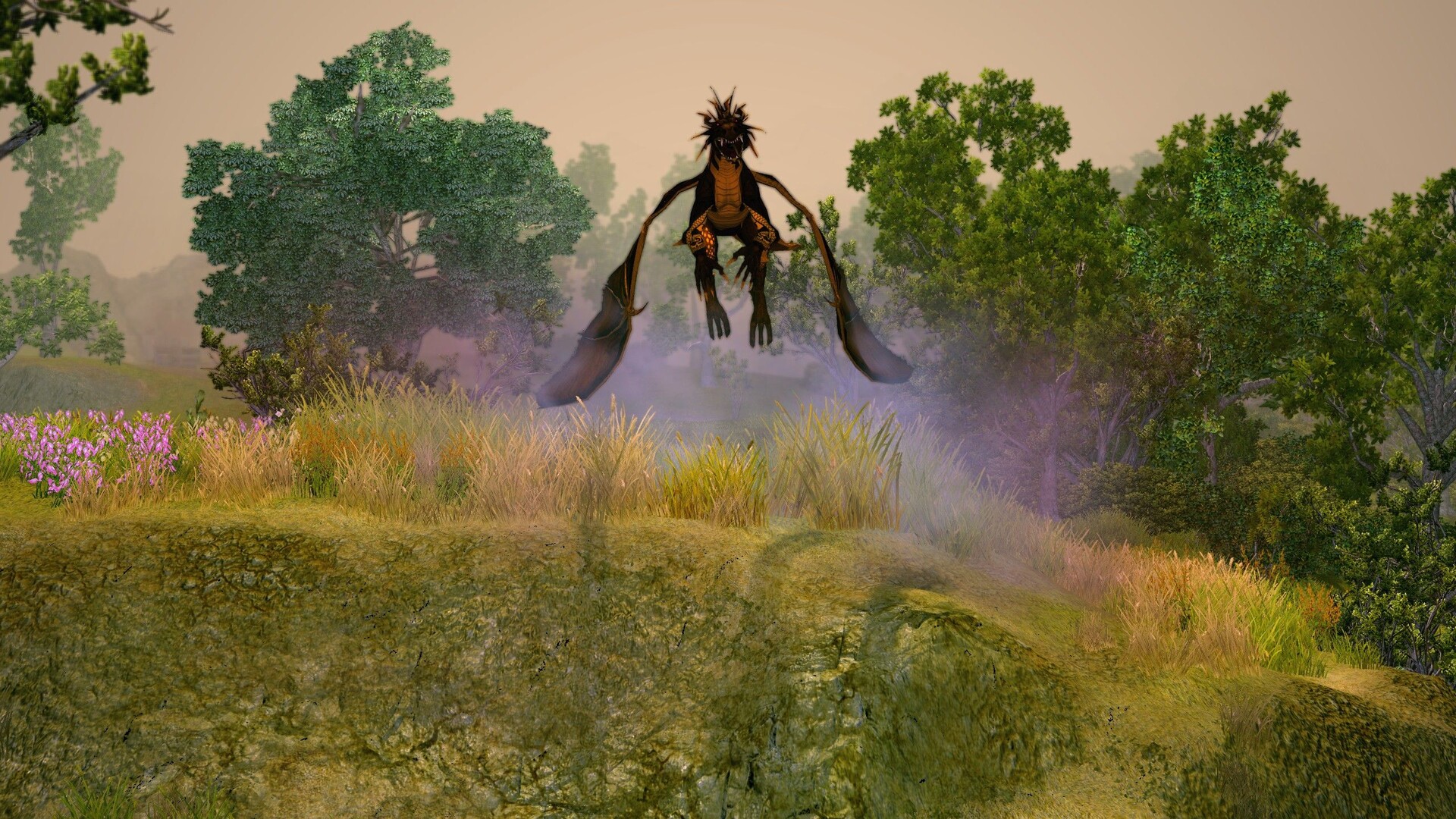 《圣域2：重制版》v1.5原版-副业资源网