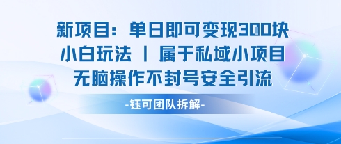 新项目单日即可变现3张的小白玩法无脑操作不封号安全引流-副业资源网