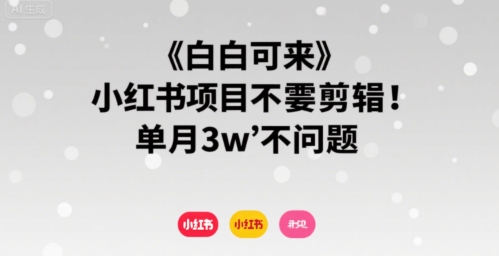 小白可来 小红书项目不需要剪辑 单月3w不是问题-副业资源网