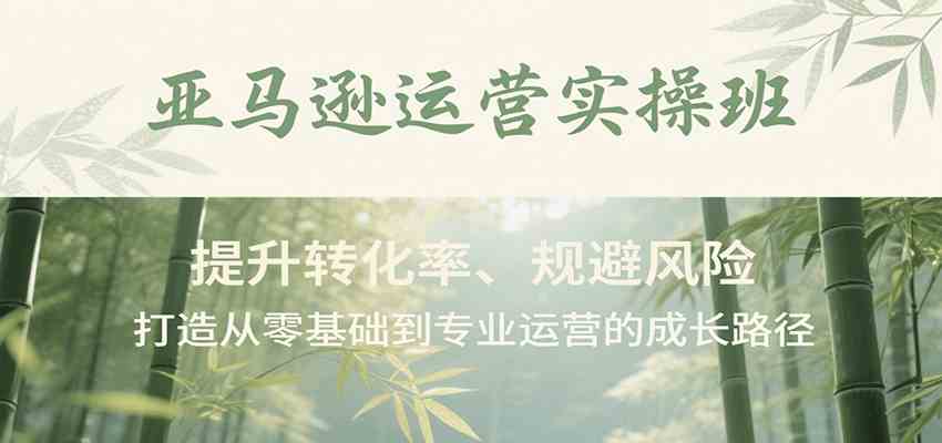 亚马逊运营实操班，提升转化率、规避风险，打造从零基础到专业运营的成长路径-副业资源网