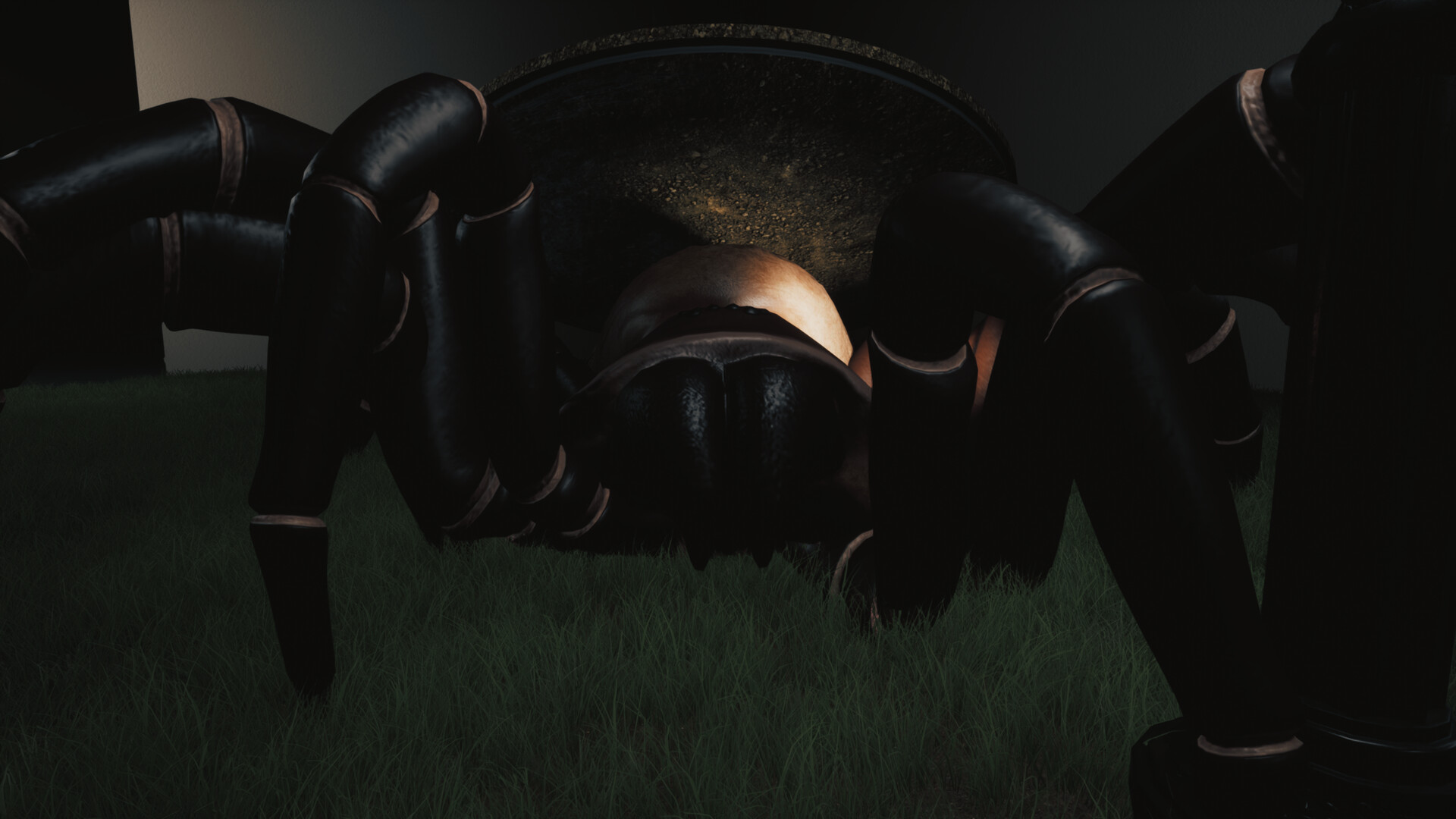 巨蛛猎手/Huntsman 巨蛛猎手/Huntsman