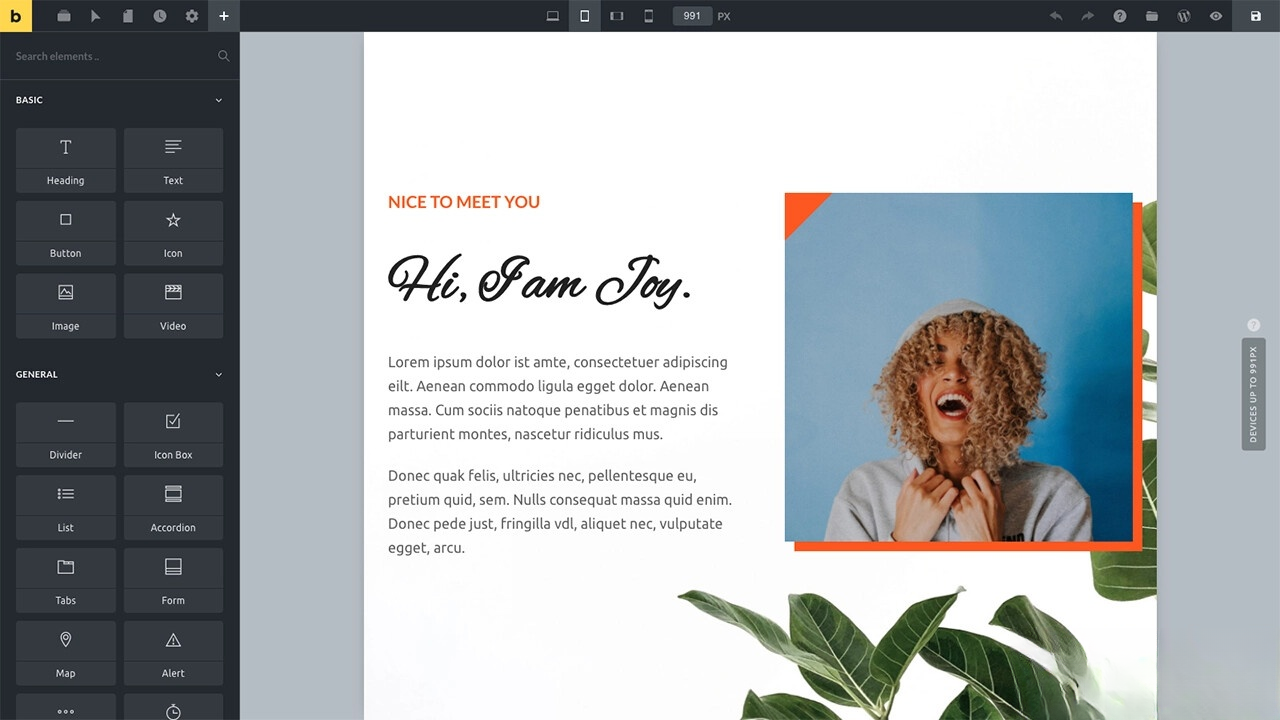 WordPress主题Bricks v1.9 破解版-副业资源网