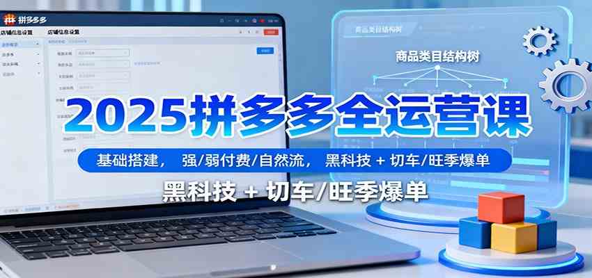 2025拼多多全运营课：基础搭建，强/弱付费/自然流，黑科技 + 切车/旺季爆单-副业资源网