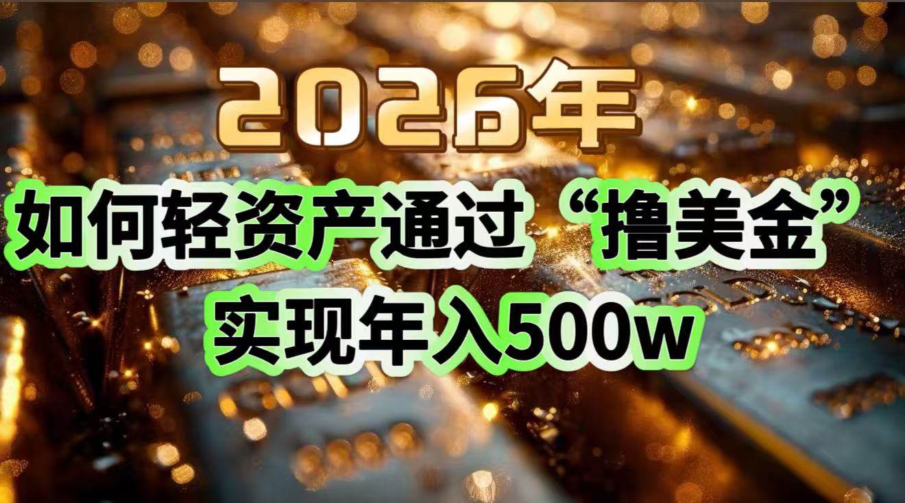 （17033期）2026年如何轻资产通过“撸美金”实现年入500w-副业资源网