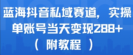 蓝海抖音私域赛道，实操单账号当天变现288+(附教程)-副业资源网