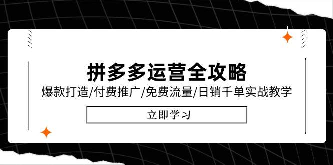 （15085期）拼多多运营全攻略，爆款打造/付费推广/免费流量/日销千单实战教学/6月更新-副业资源网
