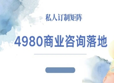 4980商业咨询师落地课程-ip运营高客单教程-副业资源网