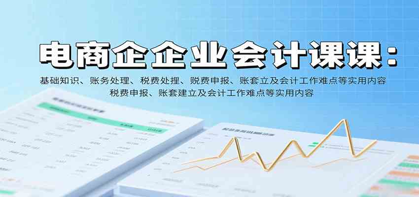电商企业会计课：基础知识、账务处理、税费申报、账套建立及会计工作难点等实用内容-副业资源网