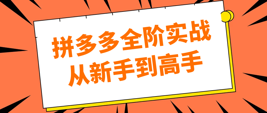 拼多多全阶实战从新手到高手-副业资源网