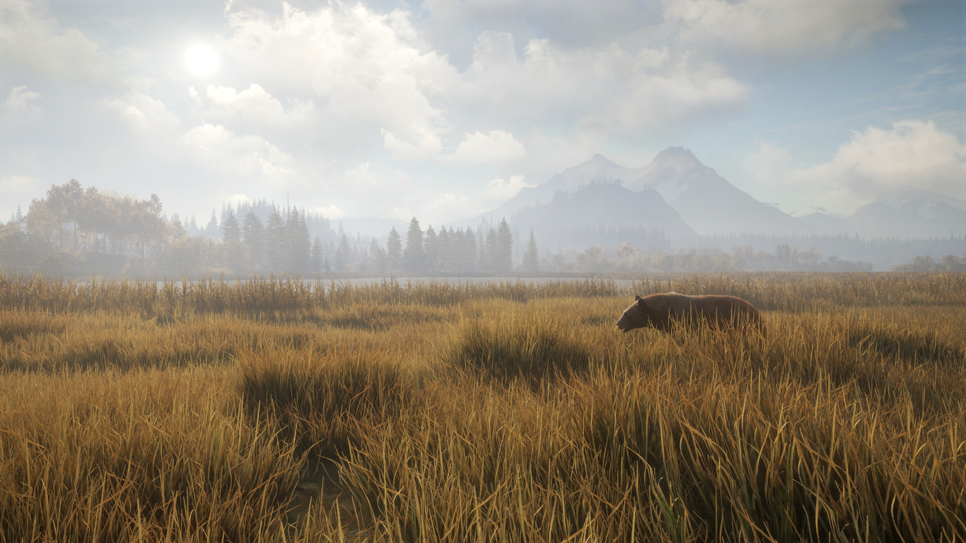 猎人：荒野的召唤/theHunter: Call of the Wild 版本更新