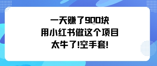 一天挣了9张用小红书做这个项目太牛了，空手套-副业资源网