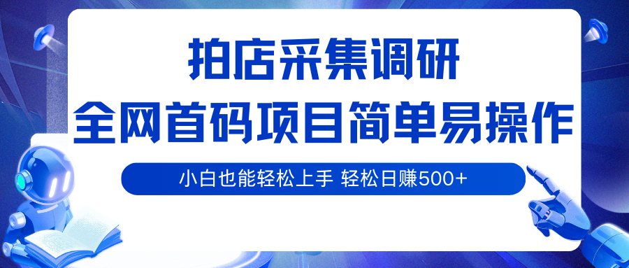 拍店采集调研，全网首码项目，简单易操作， 小白也能轻松上手，轻松日赚500+-副业资源网