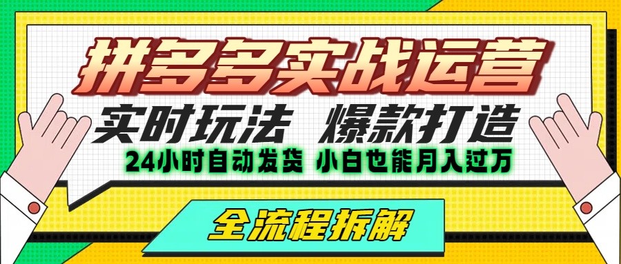 拼多多最新实战运营高投产：长久稳定项目，单店利润一天三位数-副业资源网