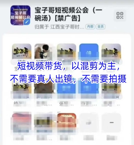 宝子哥头部团队短视频带货，以混剪为主，不需要真人出镜，不需要拍摄【更新6月】-副业资源网