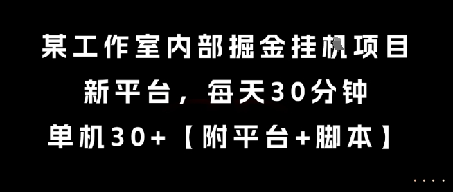 某工作室内部掘金挂G项目，新平台，每天30分钟，单机30+【揭秘】-副业资源网