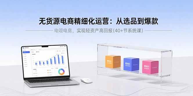 （15896期）无货源电商精细化运营：从选品到爆款，实现轻资产高回报(40+节系统课)-副业资源网