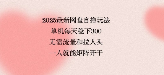 2025最新网盘自撸玩法，单机每天稳下3张，无需流量和拉人头，一个人就可轻松矩阵，全网独一份【揭秘】-副业资源网