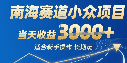 南海赛道小众项目，当天收益1k+适合新手操作可以长期玩-副业资源网