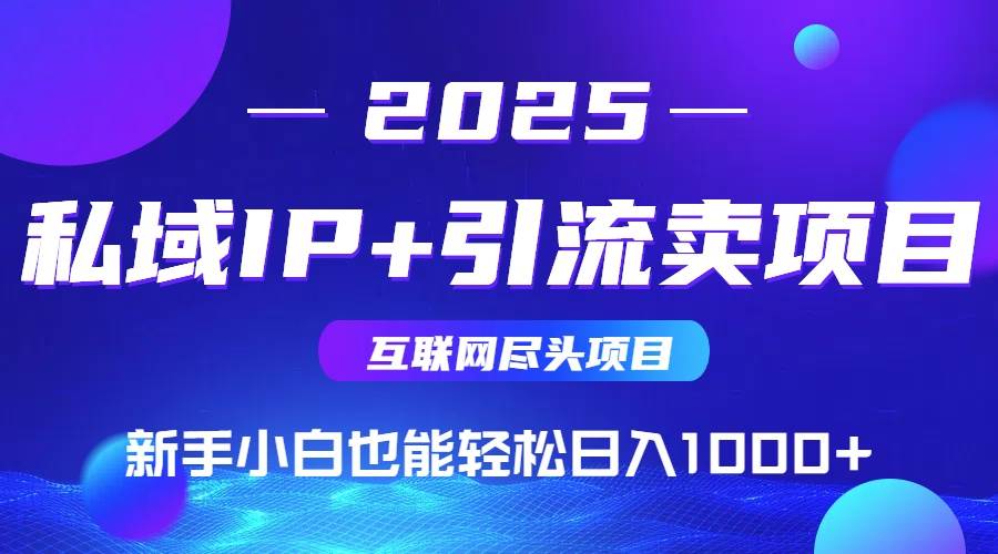 （15531期）2025网创尽头项目，私域IP+引流，新手小白也能在家日入1000+-副业资源网
