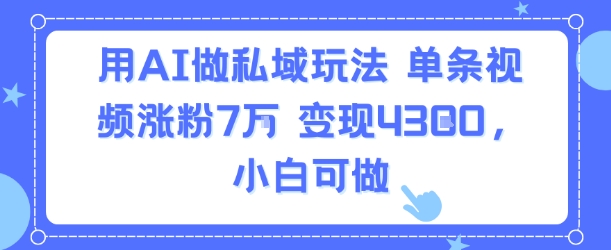 用AI做私域玩法，单条视频涨粉7W变现4.3k，小白可做-副业资源网