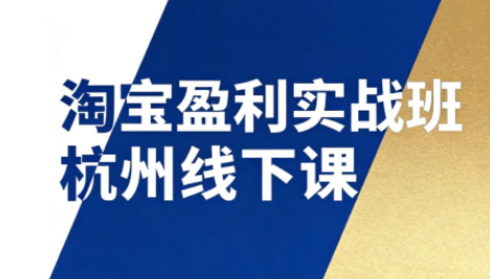 淘宝盈利实战班杭州线下课12月26-28日（音频+字幕），帮你掌握SOP流程+12门核心技术-副业资源网