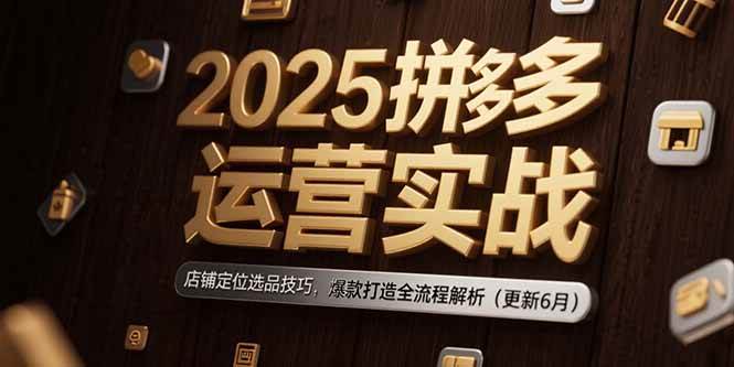 （15235期）2025拼多多运营实战：店铺定位选品技巧，爆款打造全流程解析（更新6月）-副业资源网