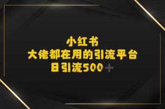 小红书，大佬都在用的大粉平台，日引流500+-副业资源网