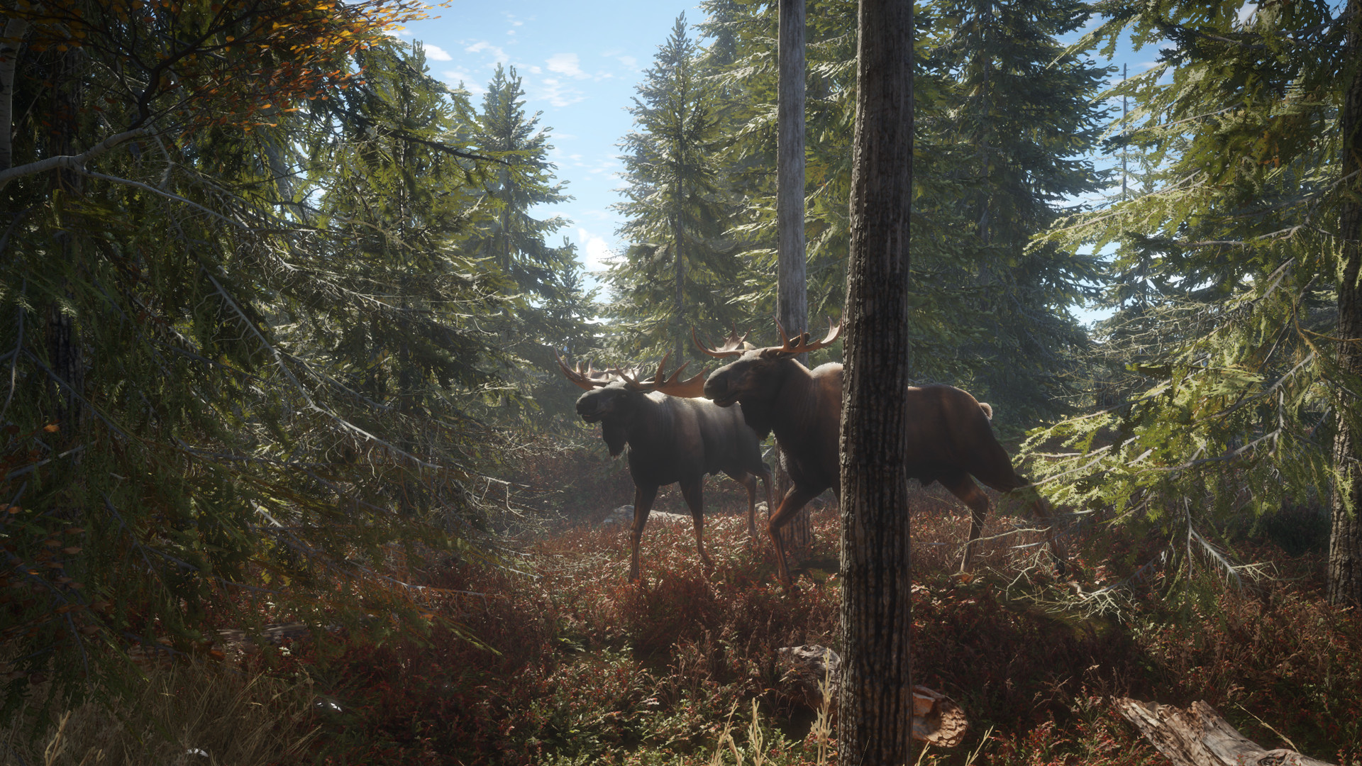 猎人：荒野的召唤/theHunter: Call of the Wild 版本更新-副业资源网