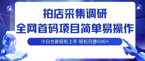 拍店采集调研，全网首码项目，简单易操作， 小白也能轻松上手，多账号操作，轻松日入5张【揭秘】-副业资源网