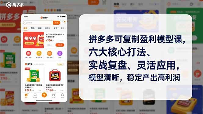 （16952期）拼多多可复制盈利模型课，六大核心打法、实战复盘、灵活应用，模型清晰，稳定产出高利润-副业资源网