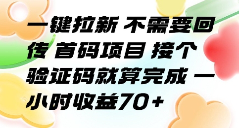 一键拉新 不需要回传 首码项目 接个验证码就算完成 一小时收益70+【揭秘】-副业资源网