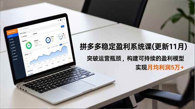 （16641期）拼多多稳定盈利系统课(更新11月)，突破运营瓶颈，构建可持续的盈利模型，实现月均利润5万+-副业资源网