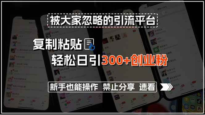 （15428期）被大家忽略的引流平台，复制粘贴轻松日引300+创业粉，新手也能操作，禁…-副业资源网