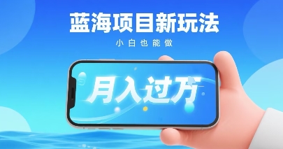 小红书蓝海项目新玩法，一部手机即可月入过W，推荐小白做非常简单认可度超高-副业资源网