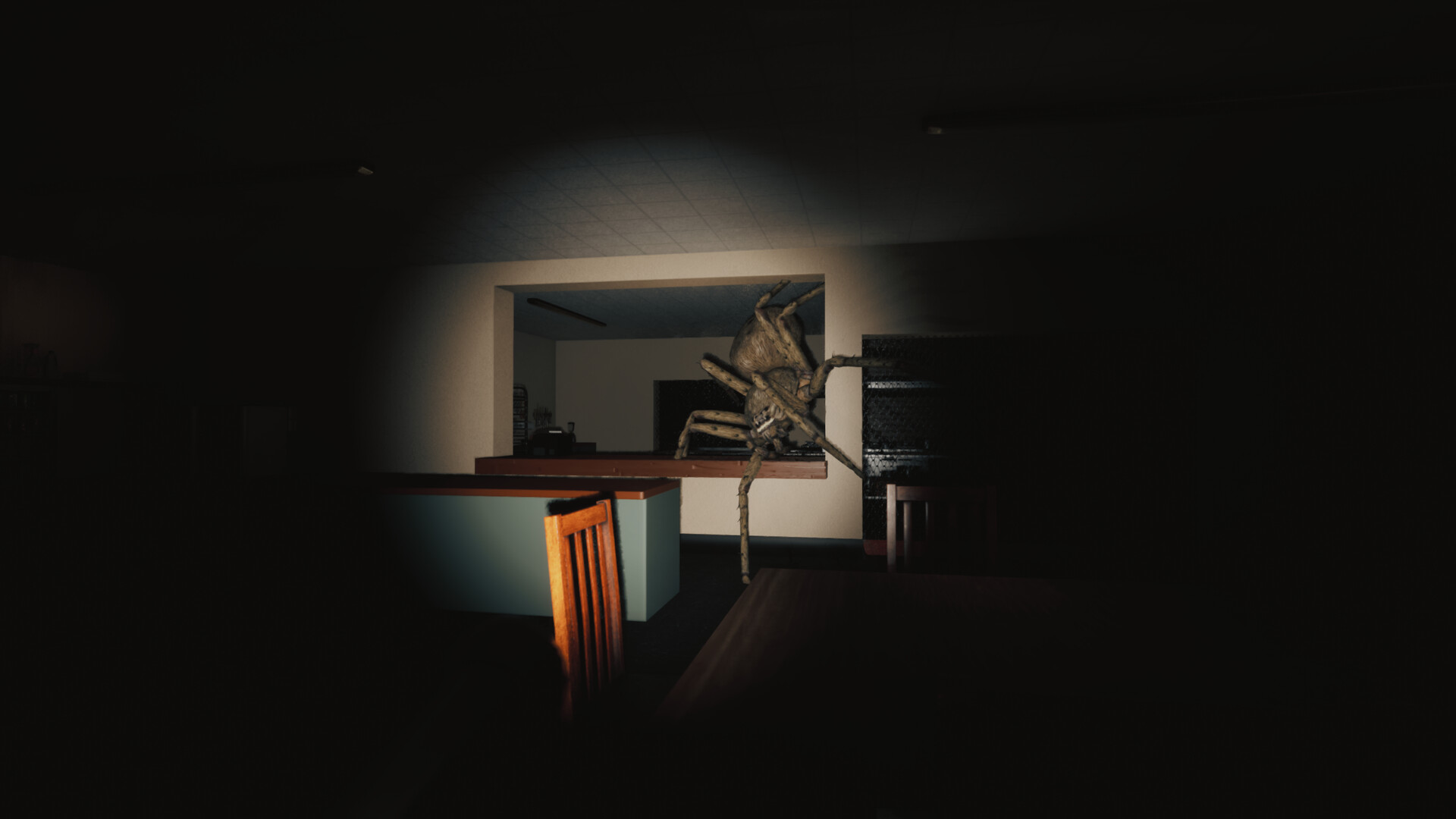 巨蛛猎手/Huntsman 巨蛛猎手/Huntsman