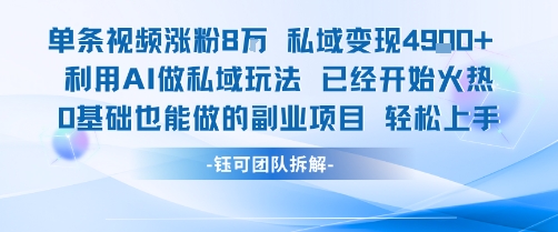单条视频私域变现4.9k+利用AI做私域玩法 已经开始火热0基础也能做的副业项目轻松上手-副业资源网