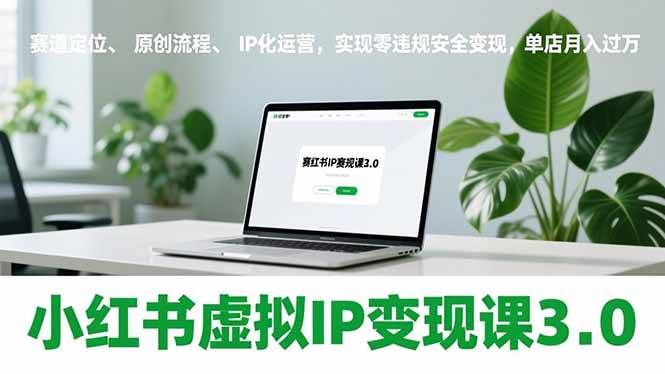 （17029期）小红书虚拟IP变现课3.0，赛道定位、原创流程、IP化运营，实现零违规安全变现，单店月入过万-副业资源网
