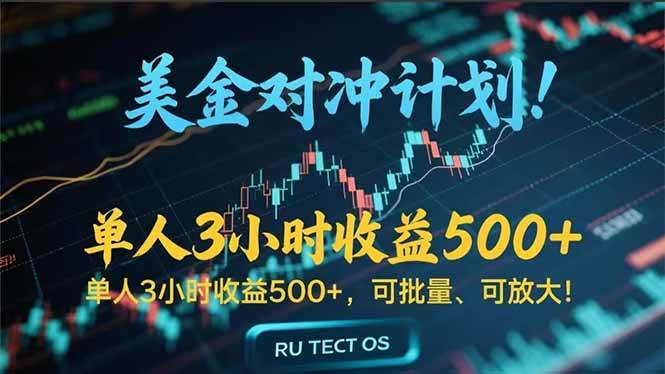 （15321期）长久稳定的撸美金项目，平均3小时收入 500+，可公司实地考察实地操作！-副业资源网