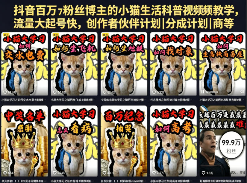 抖音百万粉丝博主的小猫生活科普视频教学,流量大起号快,创作者伙伴计划|分成计划|商单|收徒等-副业资源网