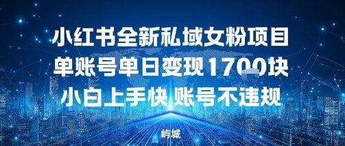 小红书全新私域女粉项目单账号单日变现多张，小白上手快账号不违规建议准备多账号操作-副业资源网