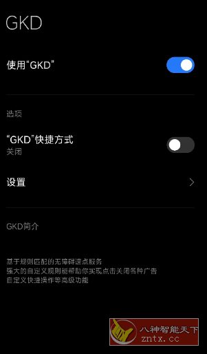 GKD搞快点 v1.11.0-beta.1更新-副业资源网