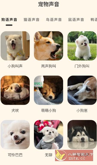 哆啦猫狗翻译器1.2.6高级版-副业资源网