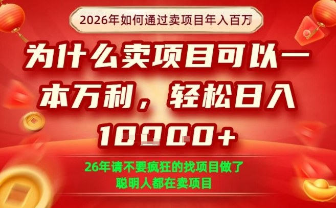 一单净利润1K+，26年想年入100个W，死磕卖项目就够了【揭秘】-副业资源网