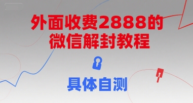 （15301期）外面收费2888的微信解封教程，具体自测-副业资源网