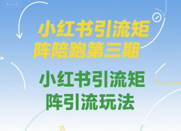 小红书引流矩阵陪跑第三期，小红书引流矩阵引流玩法-副业资源网