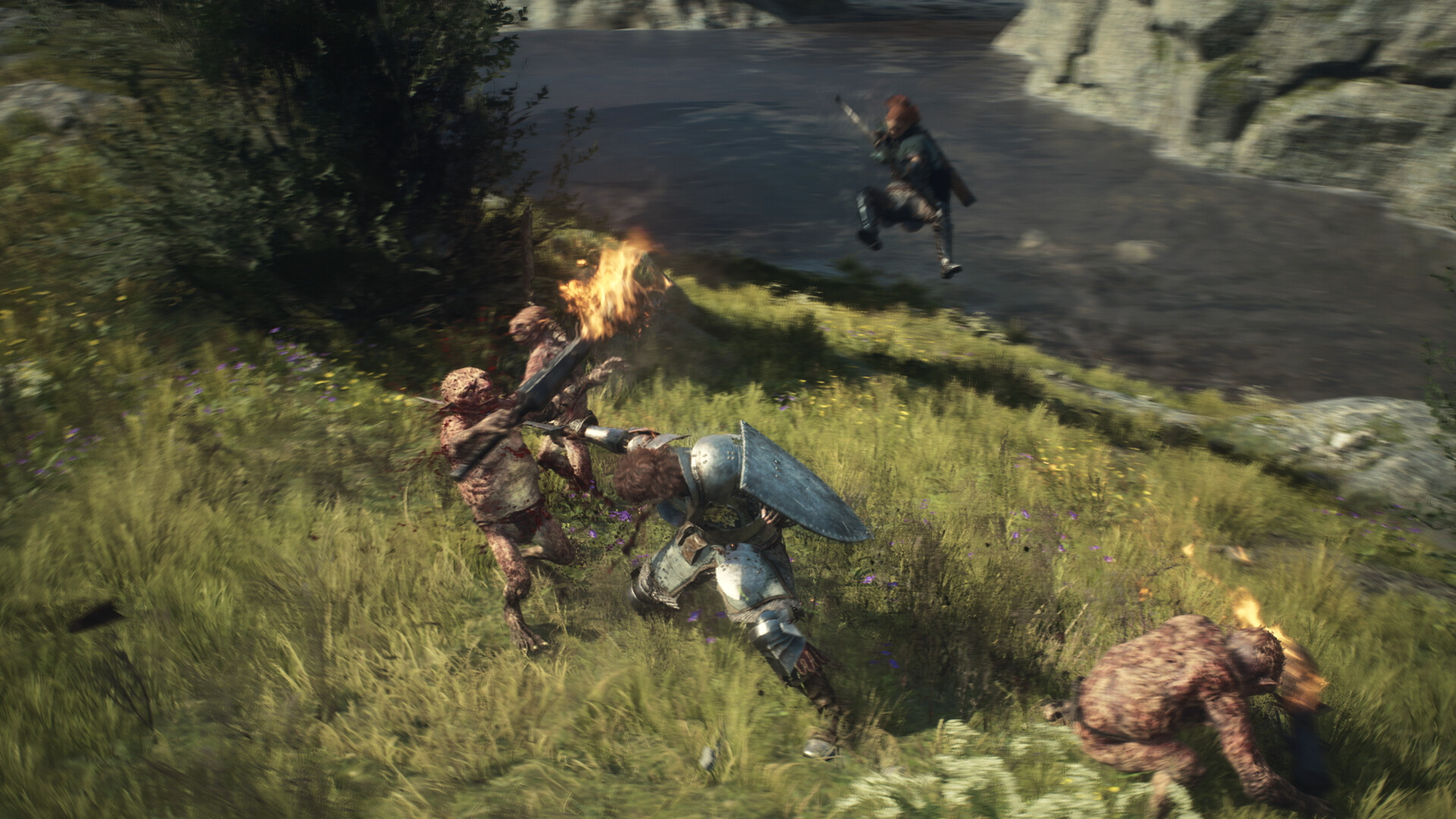 龙之信条2/Dragon's Dogma 2『移除D加密』 版本更新