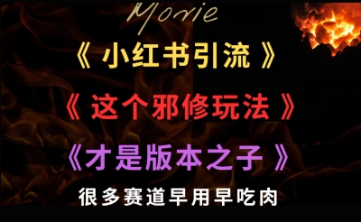 最近小红书引流这个邪修玩法才是版本之子，很多赛道早用早吃肉-副业资源网